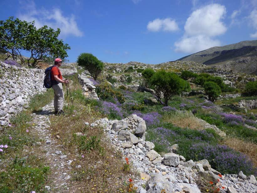 Dorana Apartments & Trekking Hotel Diafánion Esterno foto